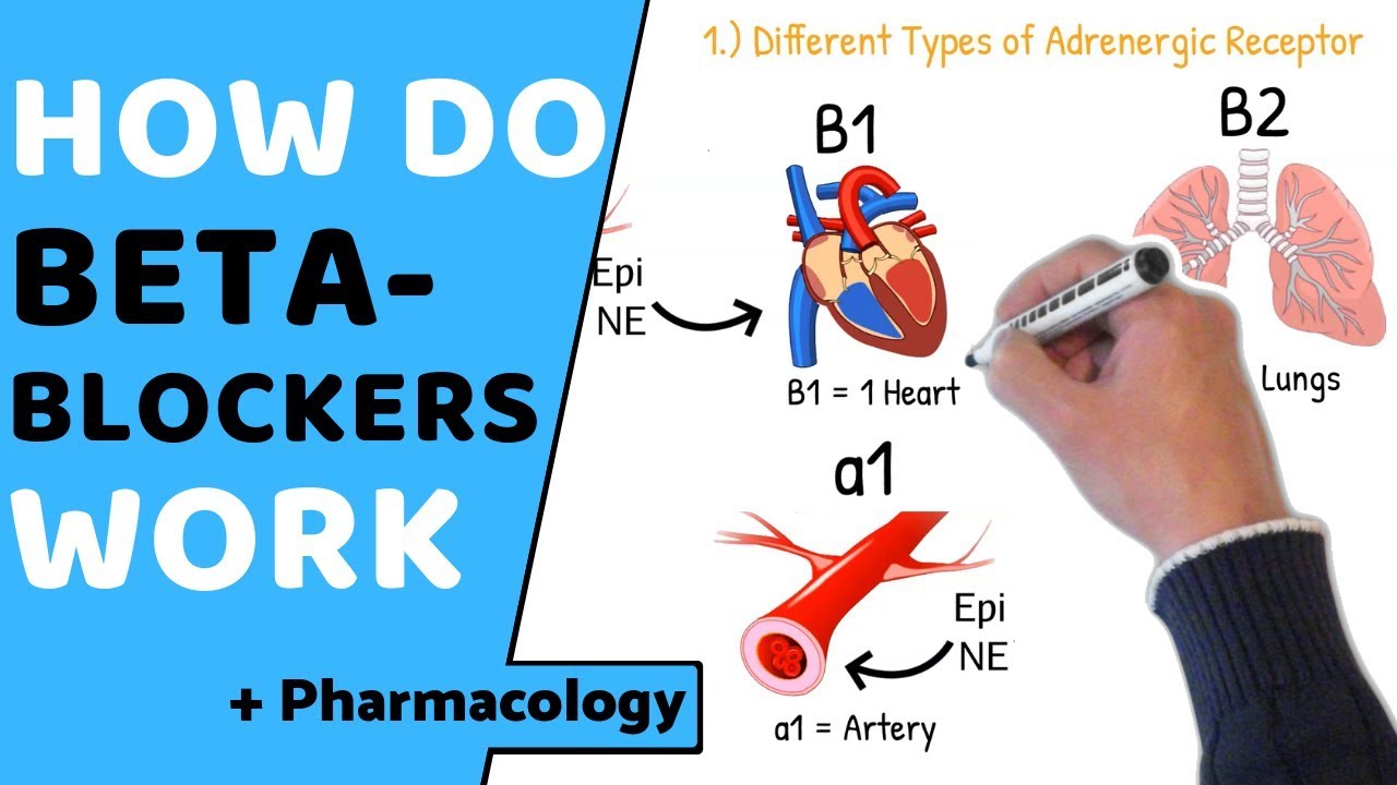 How do Beta Blockers Work? (+ Pharmacology)