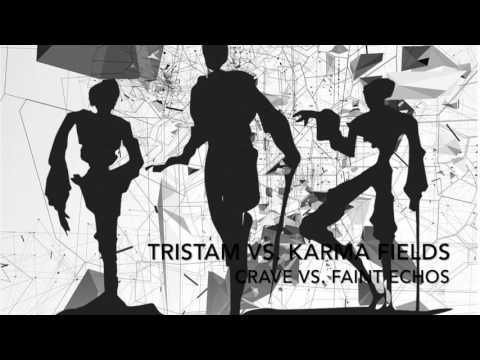 [Electro] - Tristam vs. Karma Fields - Crave vs. Faint Echos (Mashup)
