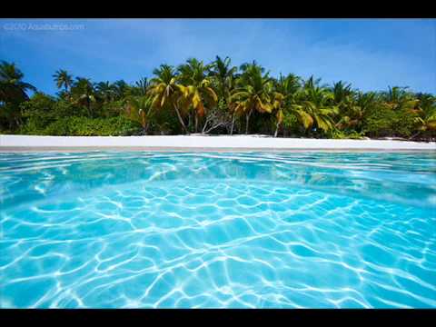 mccoy tyner "miss bea".wmv