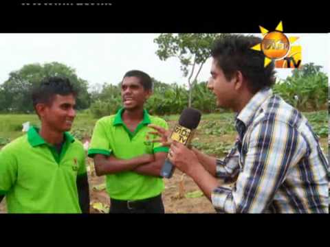 Hiru TV