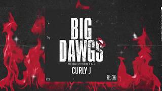 Download lagu Curly J Big Dawgs... mp3