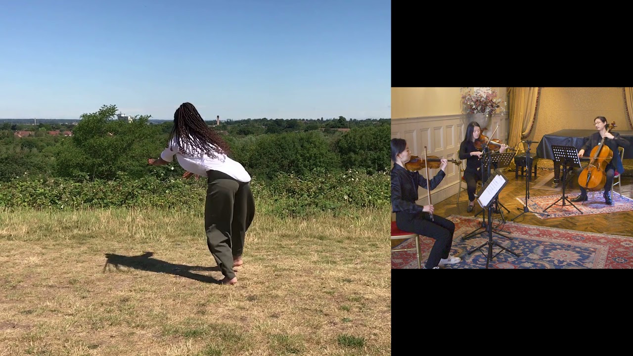 Video Image