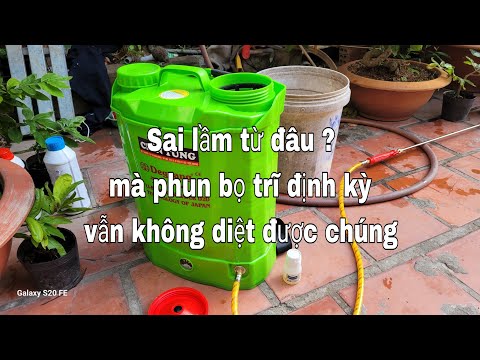 Những sai lầm cần lưu ý