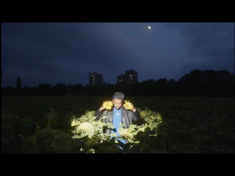 DAWILL - Mañana (Official Video)