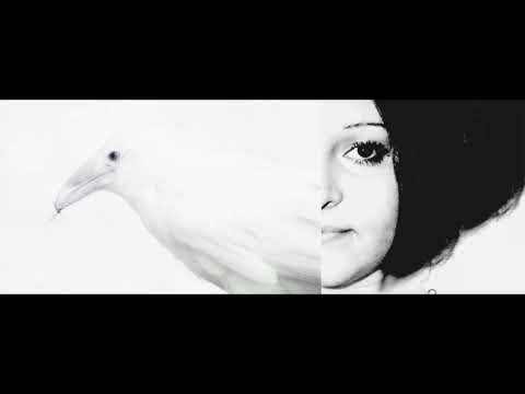 Tasha - Motýle zblízka |Peter Nagy|