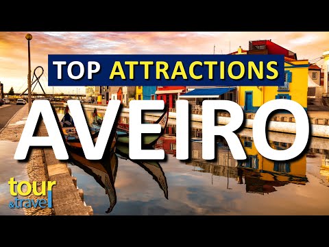 Amazing Things to Do in Aveiro & Top Aveiro Attractions