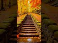 Sorgathin Vasapadi Song Whatsapp Status