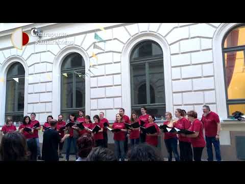 Thomas Morley: Fire, fire - Contrapunto Kamarakórus