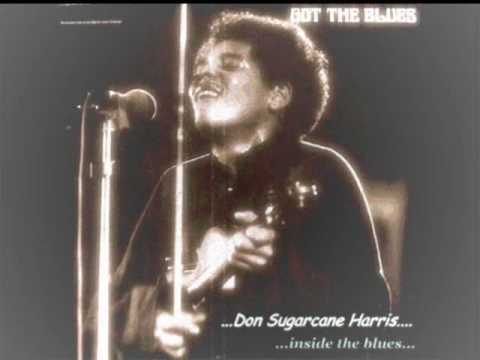 Don Sugarcane Harris "Q"(audio only)