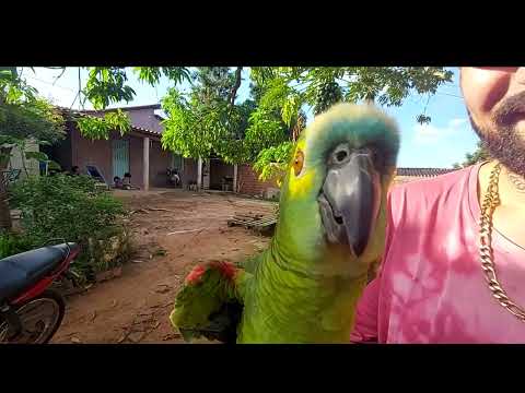 Luis Diversounds - Negão (MugasProd)