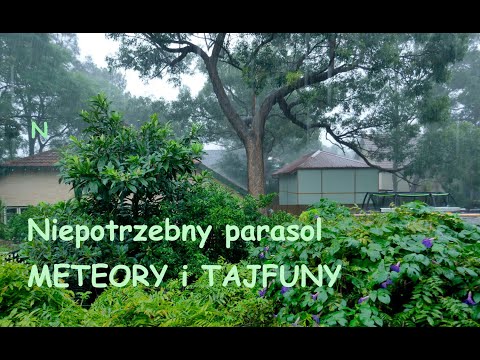 Niepotrzebny parasol  - śpiewa żeński kwartet wokalny METEORY, grają TAJFUNY