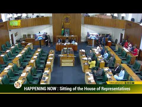 JISTV |Budget Debate 2024-2025 - Leader of the Opposition Mark Golding presentation