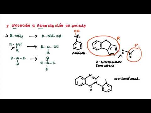 Reacciones de funcionalización o Reacciones de FASE I