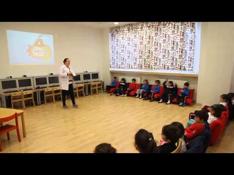 Private Sanko Schools