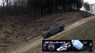 [問題] 有人停車場斜坡開ACC的嗎？