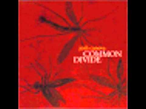 The wish de Josh Canova