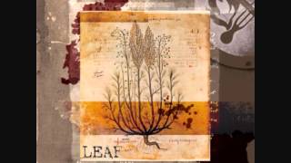 Leaf - Song Of Trees