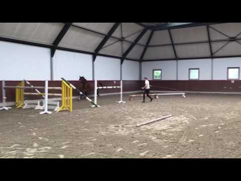 Chacco blue x cornet obolensky x QuickStar