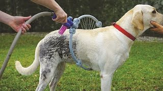 5 ИЗОБРЕТЕНИЙ ДЛЯ ДОМАШНИХ ЖИВОТНЫХ