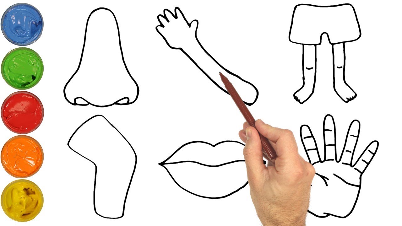 Color and Learn BODY PARTS | Drawing, Painting & Coloring for Kids & Toddlers | Learn to Draw