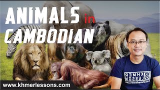 Audio For: កំប្រុក