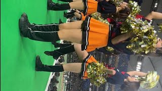 プロ野球のチアガールは素敵