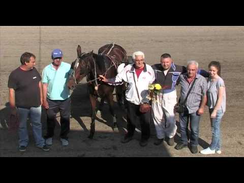 IV Trka "Cvećara Goca"- Srbobran 14.05.2017.