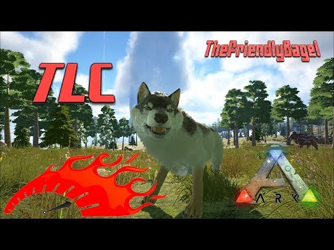 Ark Max Speed 2.0 | Direwolf (Post-TLC)