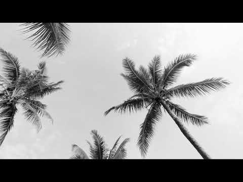 David Penn feat. Monia Amore - Ocean Drive (DJ Chus & Abel Ramos Remix)