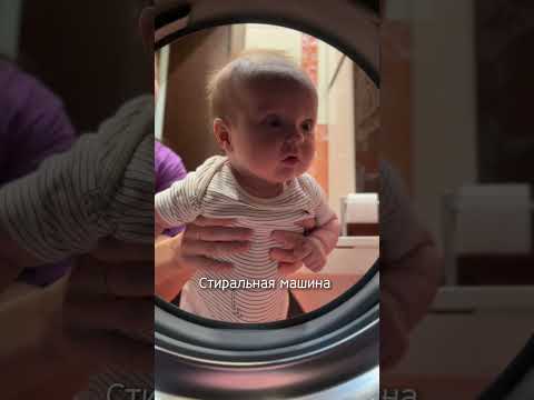 Мне кажется она немного в шоке. Автор видео: @ekk.deryabina  #комментарии #юмор #мем