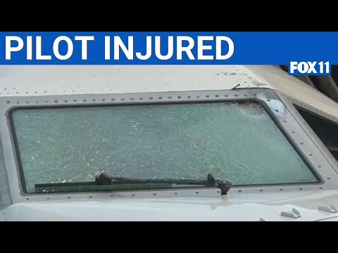 Mystery object hits United flight mid-air | FOX 11 LA