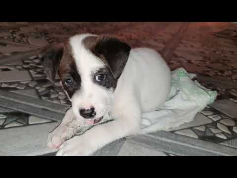 Berantem karena kain🤦‍♀️