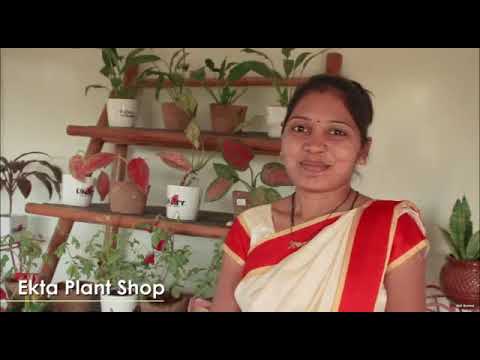 Ekta Nursery: A confluence of women empowerment and promoting eco-friendly development