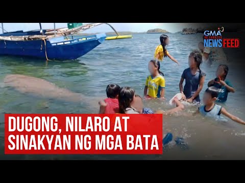 Dugong, nilaro at sinakyan ng mga bata GMA Integrated Newsfeed