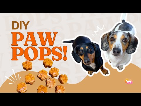 Cutest Frozen Dog Treats You’ll Ever Make + Frozen Dog Treat Molds
