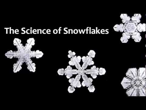 The Science of Snowflakes