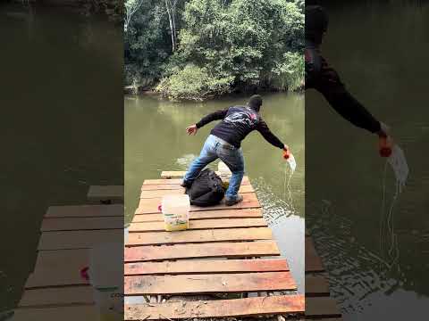 Dia de tratar das piaparas jogando trato na ceva , Rio Paranapanema Capão Bonito sp