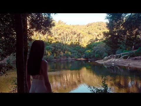 Valete c/ Phoenix RDC e LIla - Viaja (Visualizer )