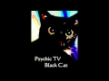 Psychic Tv - Black Cat