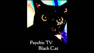 Psychic Tv - Black Cat