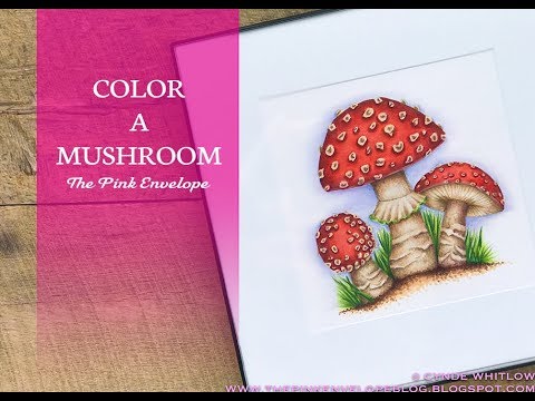 download lagu mp3 mp4 Mushroom To Color, download lagu Mushroom To Color gratis, unduh video klip Mushroom To Color