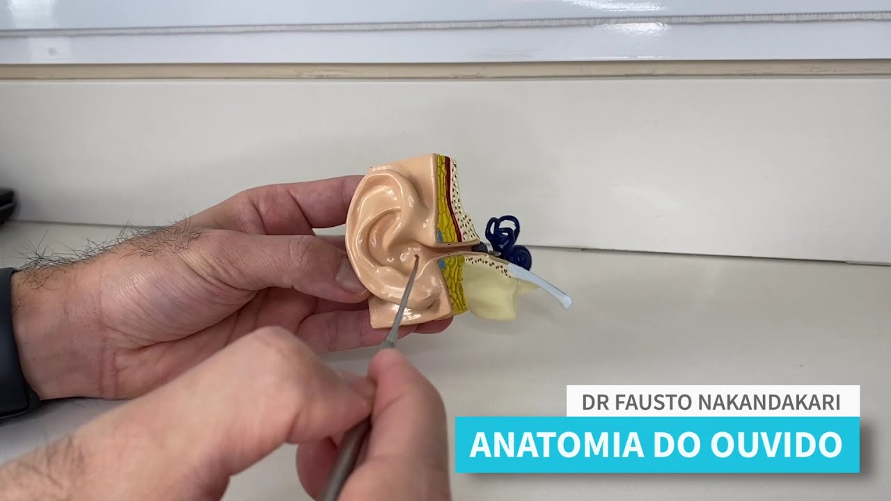 Fausto Nakandakari-119