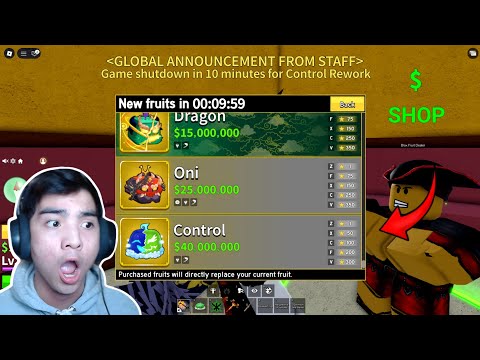 FINALLY.. Control Fruit REWORK UPDATE 29 in Blox Fruits..! 