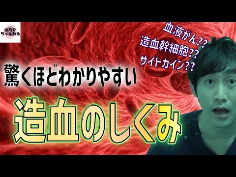 造血の仕組みと血液がんの発生を血液内科医がスーパーわかりやすく解説!!