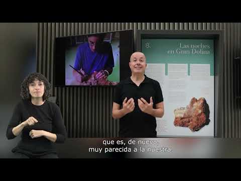 Cómo signar Arqueología en LSE
