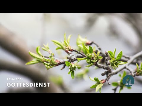 Dominik Buchner - Predigt - 10.04.2021