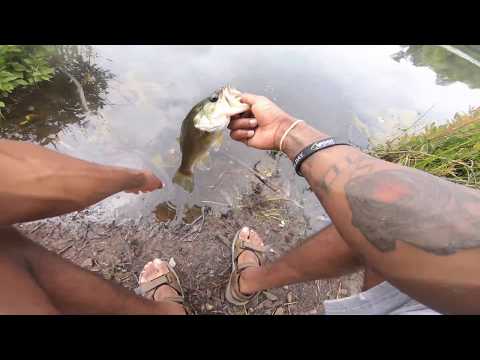 Best Summer Time Bait To Catch BIG BASS !!