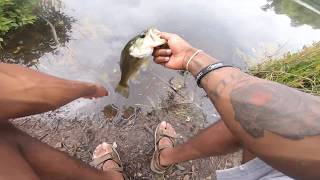 Best Summer Time Bait To Catch BIG BASS !!