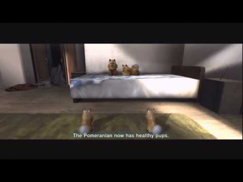 Tokyo Jungle - Story Mode Act 2: Pomeranian