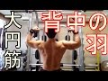 【トレ動画】大円筋に効かせるラットプルダウン【羽生えた?】